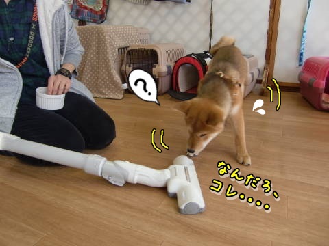 a0338800_17072338.jpg