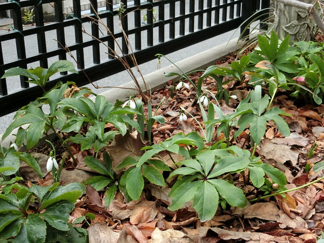 e0234004_19334463.jpg
