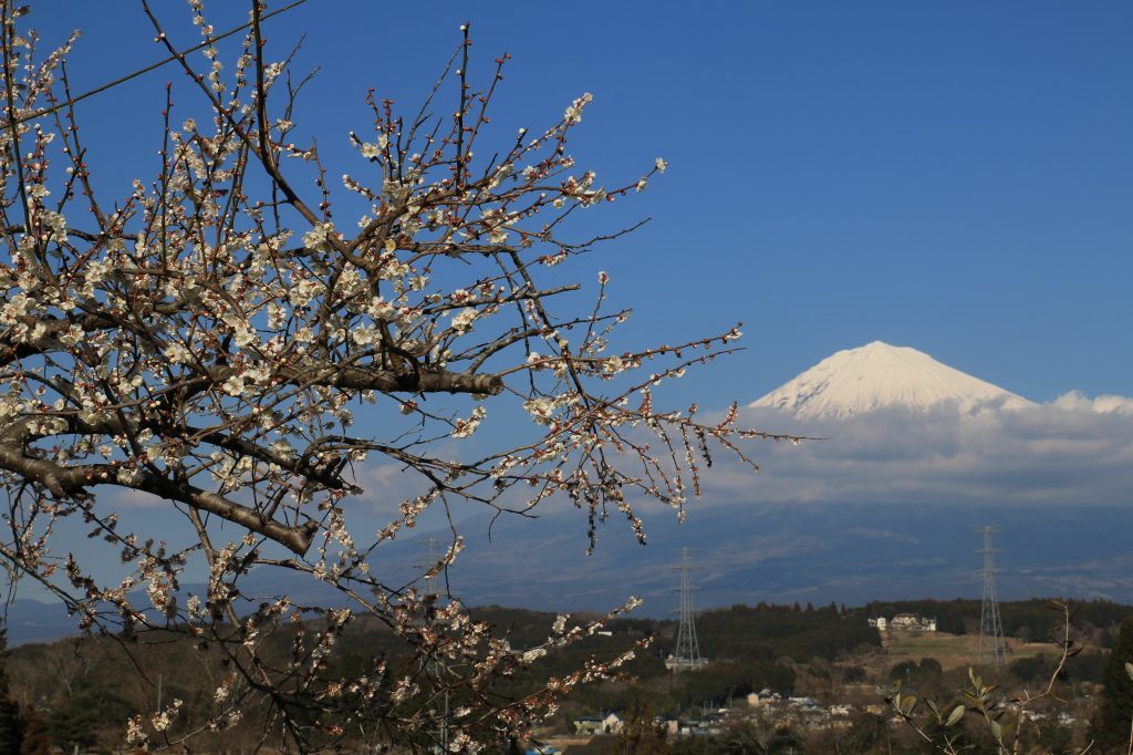 a0188405_23221235.jpg