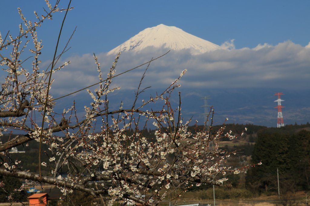 a0188405_23222050.jpg
