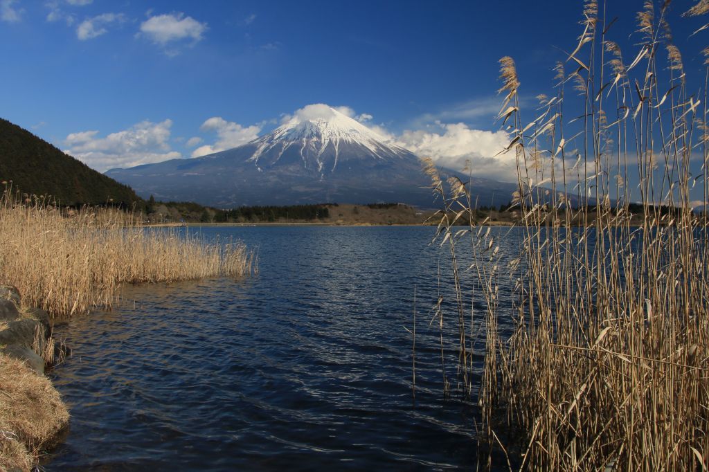 a0188405_23354125.jpg