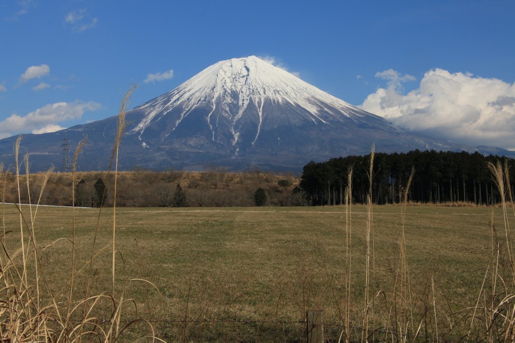 a0188405_23360393.jpg