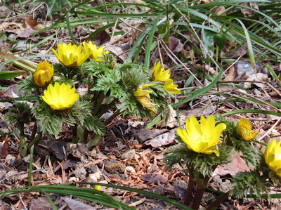 a0164011_12263263.jpg