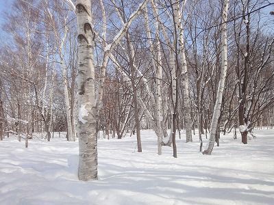 f0328313_13501172.jpg
