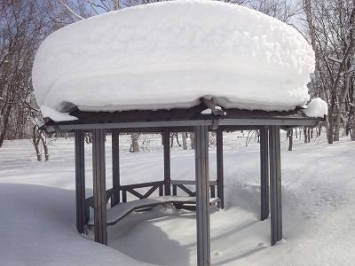 f0328313_13501876.jpg