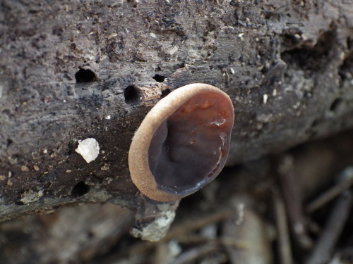 e0352220_18332525.jpg