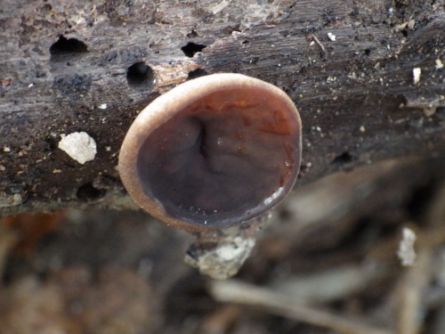 e0352220_18335660.jpg