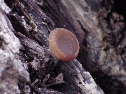 e0352220_18420417.jpg