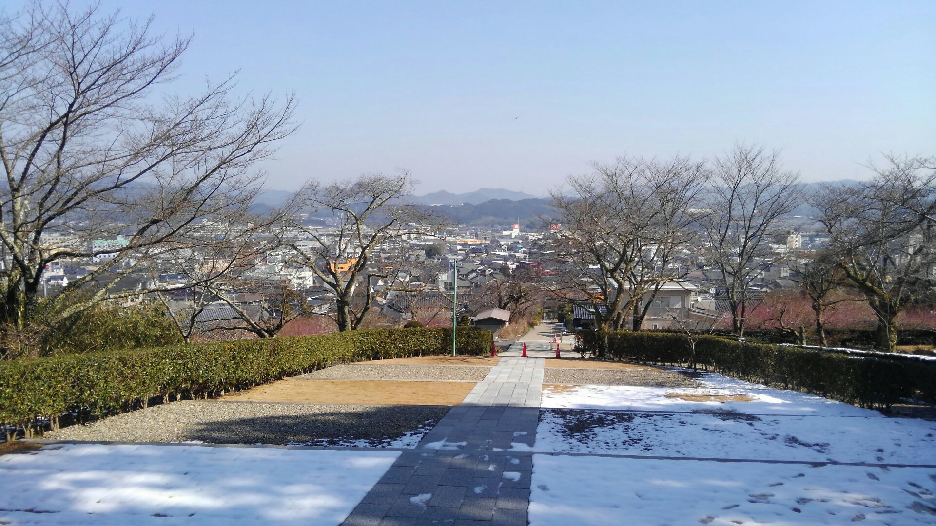 f0111128_16363401.jpg