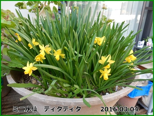 e0033229_19211243.jpg