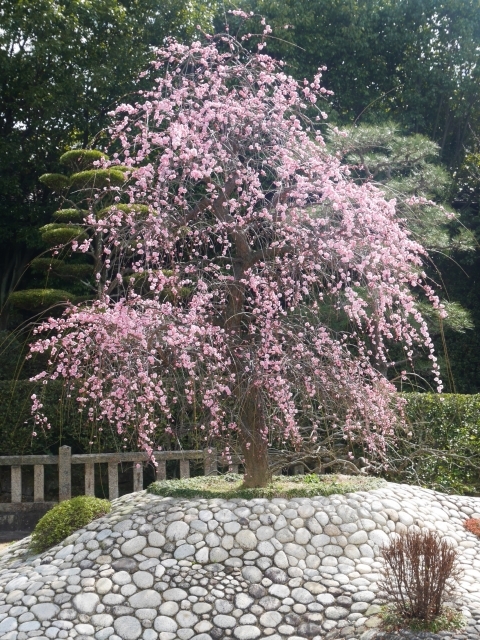 f0231829_21071338.jpg