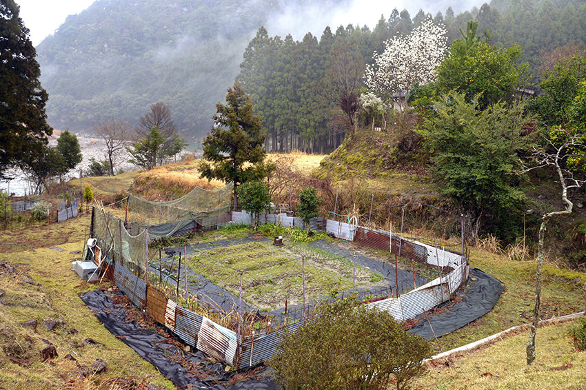 d0147530_12134636.jpg
