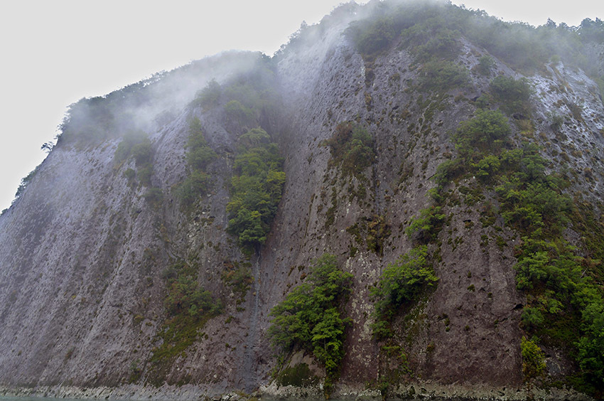 d0147530_12140054.jpg