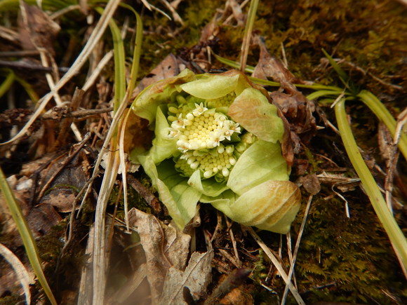 f0118332_2321592.jpg
