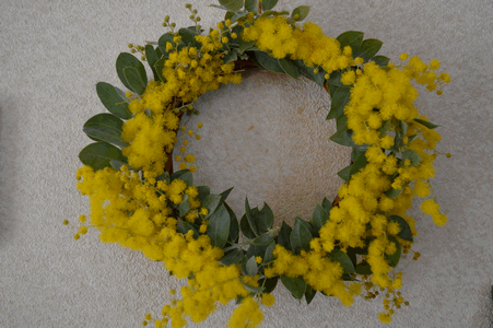 c0136736_13115788.gif