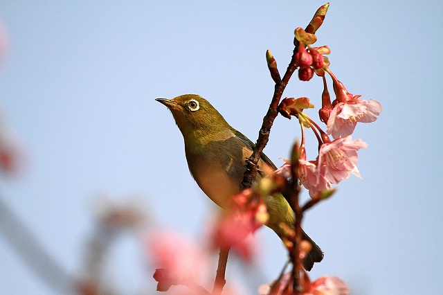 a0242438_2259314.jpg