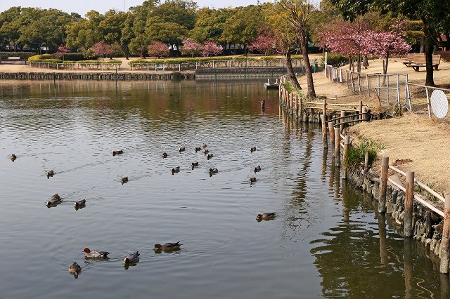 a0242438_2259718.jpg