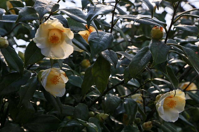 a0242438_2305434.jpg