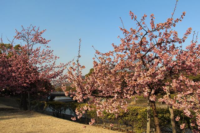 a0242438_2312943.jpg