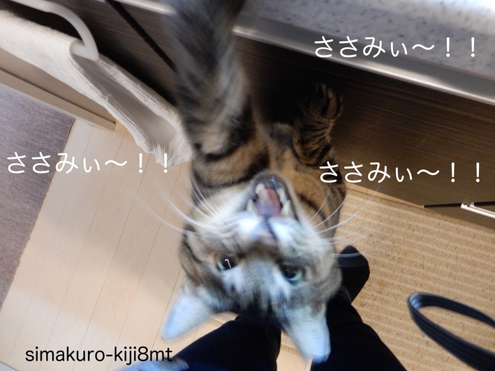 f0247039_21265483.jpg