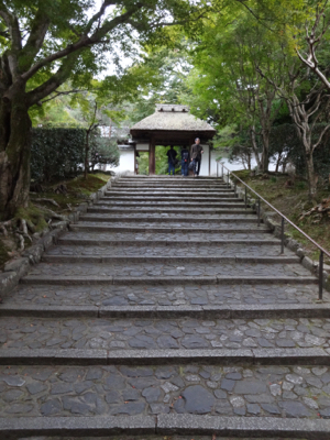 f0141840_02512866.jpg