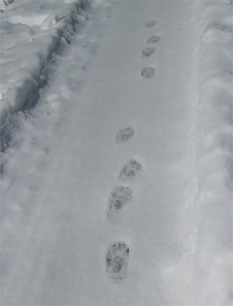 f0214649_2233870.jpg