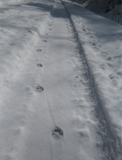 f0214649_22364199.jpg