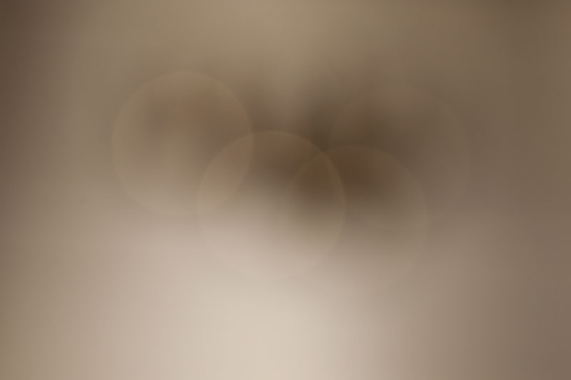 d0342652_11545091.jpg