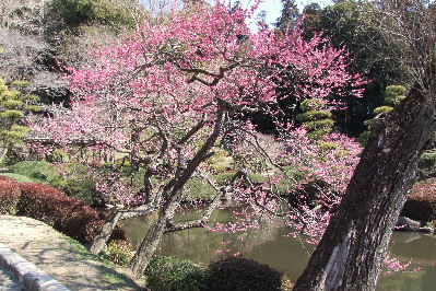 e0088260_1051377.jpg