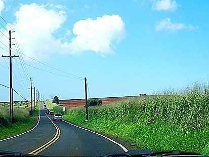 c0022164_22111741.jpg