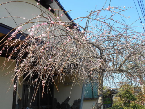 c0329378_18065688.jpg
