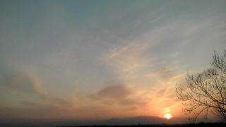 a0355483_21551622.jpg