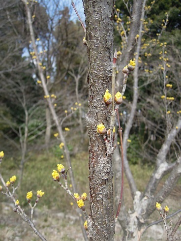 f0045283_19002790.jpg