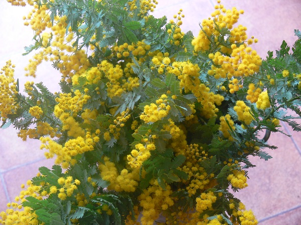 e0140986_1722108.jpg