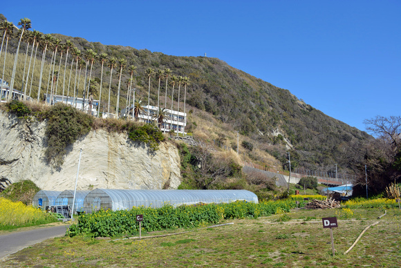 a0186689_19412895.jpg