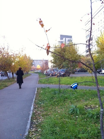 c0129991_20310738.jpg