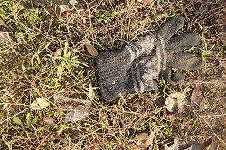 c0129991_21443078.jpg