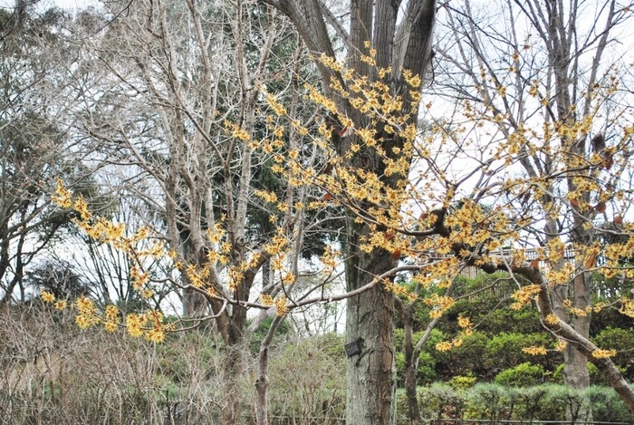 e0025300_2114759.jpg