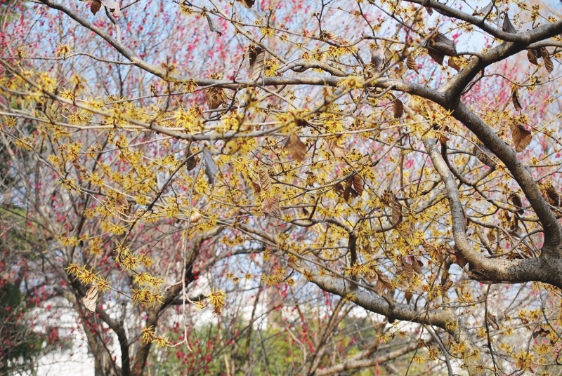 e0025300_2172190.jpg