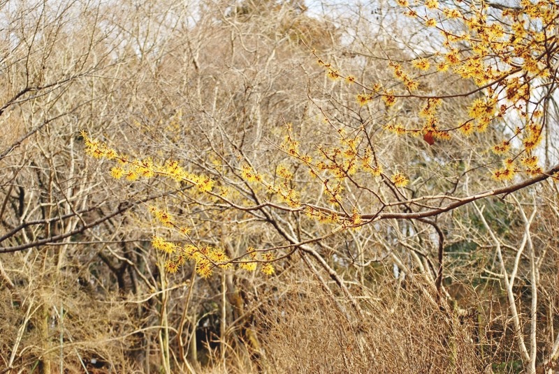 e0025300_219858.jpg