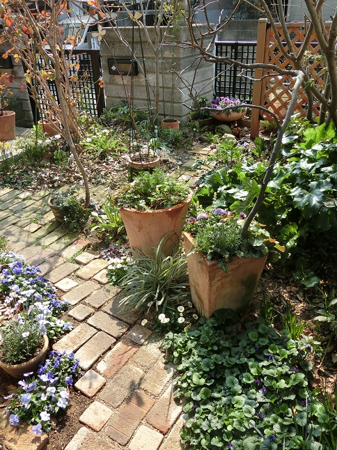 e0234004_1918575.jpg