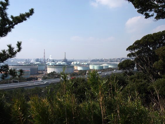 e0245404_2503918.jpg