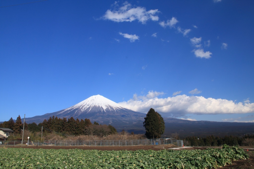 a0188405_11031097.jpg