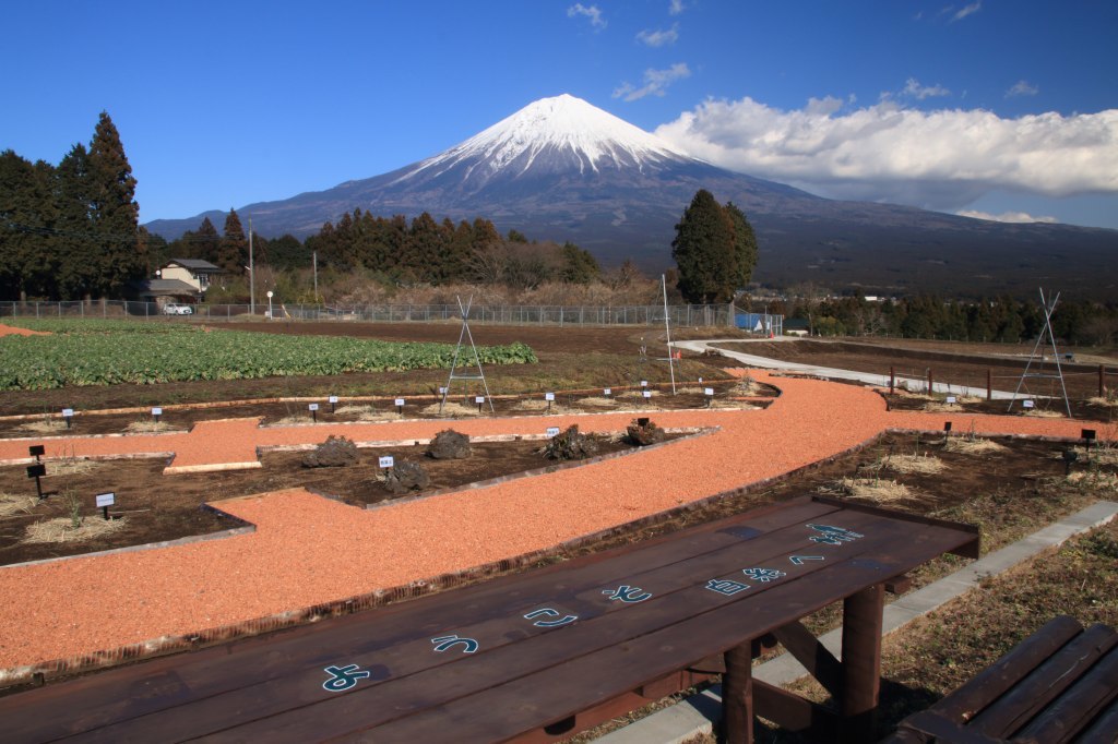 a0188405_11032259.jpg