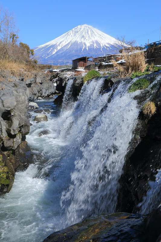 a0188405_12265360.jpg