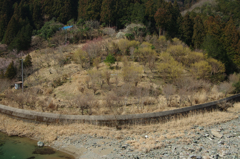 d0342307_21541236.jpg