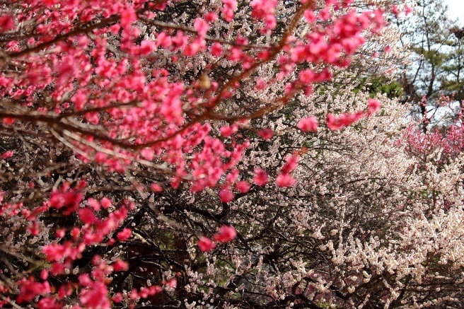 f0302208_18204091.jpg
