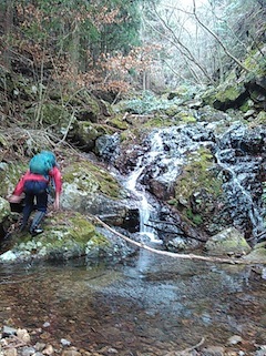 c0359615_21280271.jpg