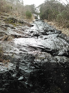 c0359615_21281484.jpg
