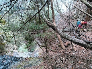 c0359615_21282600.jpg